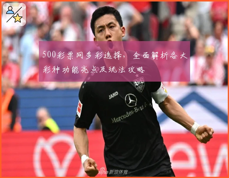 500彩票网多彩选择,全面解析各大彩种功能亮点及玩法攻略