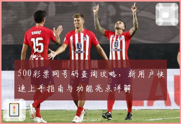 500彩票网号码查询攻略，新用户快速上手指南与功能亮点详解